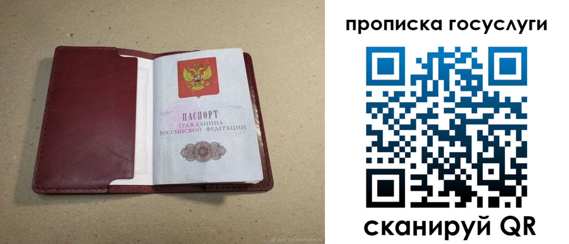 прописка поиск в Качканаре